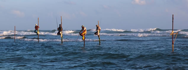 stilt fishing